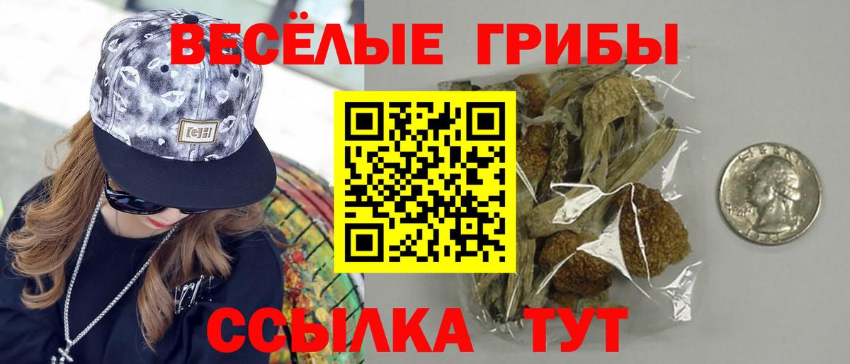 Псилоцибиновые грибы Psilocybine cubensis Ефремов