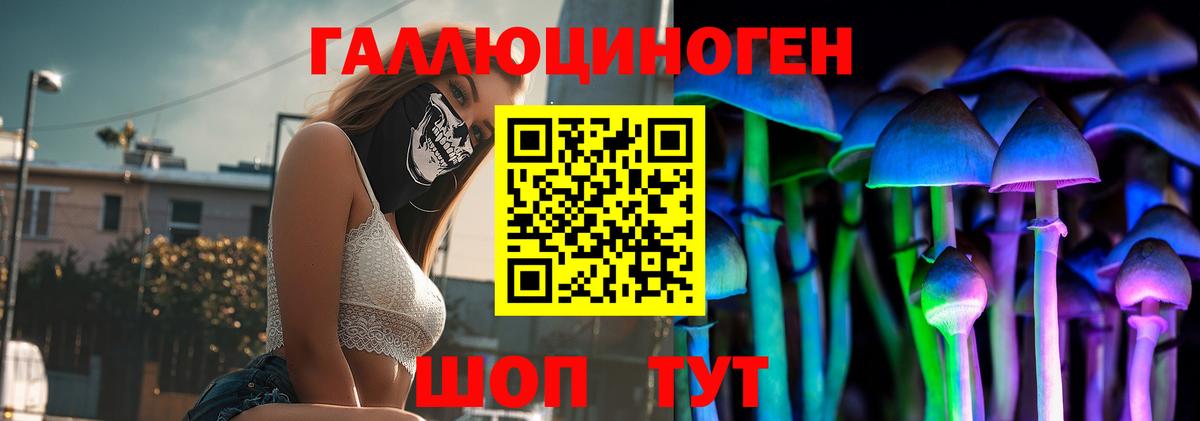 Псилоцибиновые грибы прущие грибы  Вход с VPN  где продают   Ефремов 