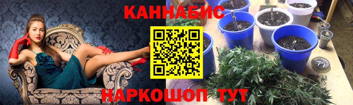 Бошки марихуана конопля  Марихуана Bruce Banner  МАРИХУАНА MAZAR  Вход с VPN  Ефремов 